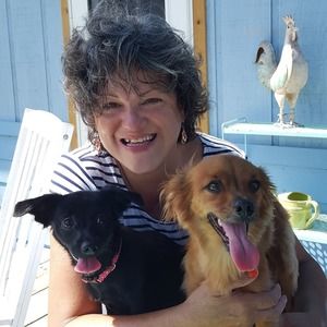 Meet your Posher, Teresa